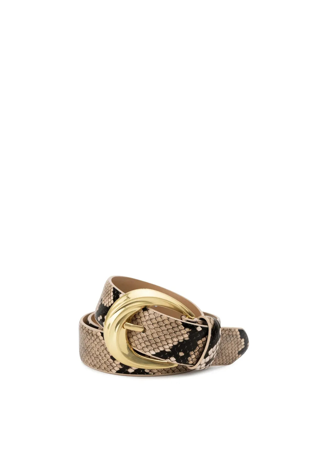 The antica belt, python