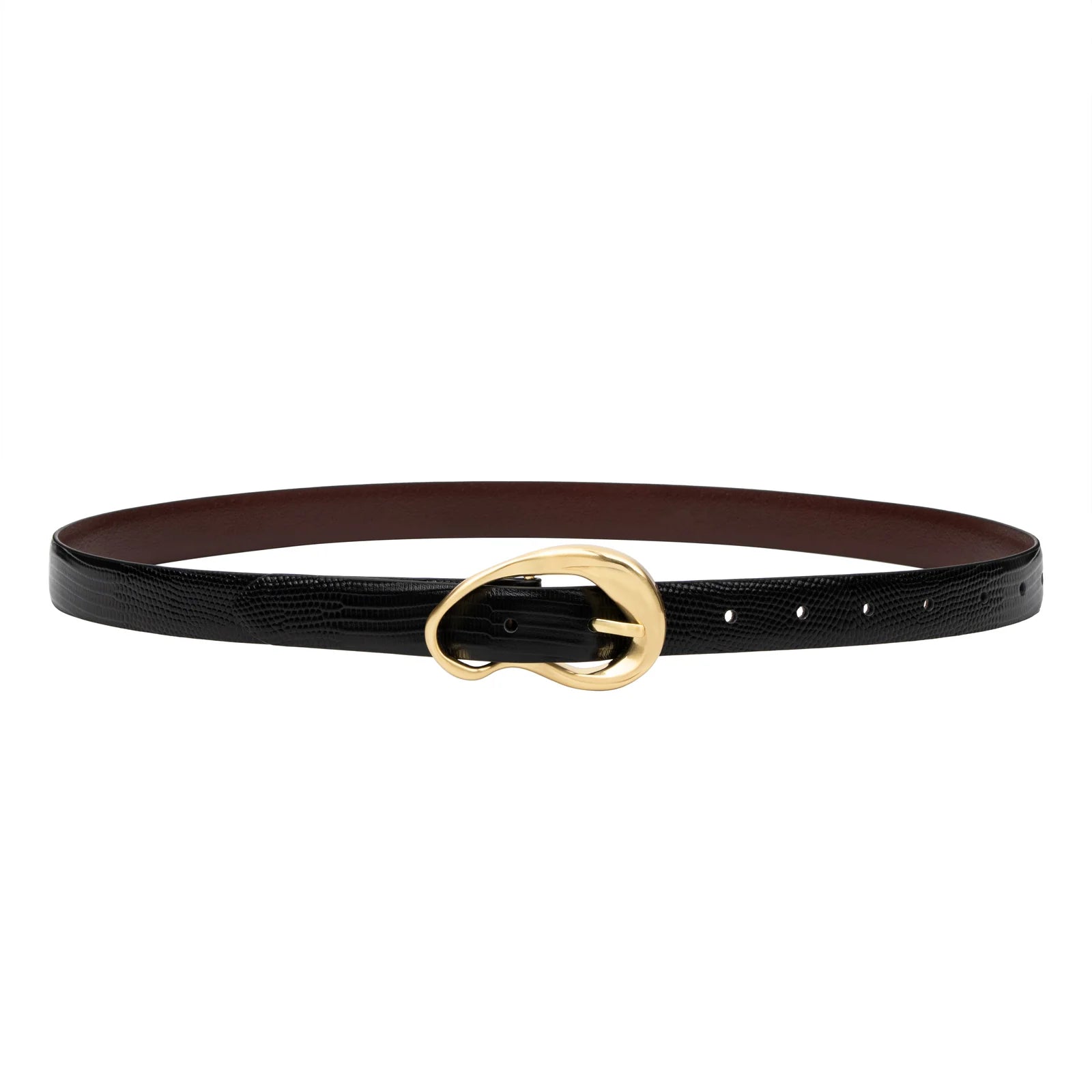 The formosa belt, black lizard