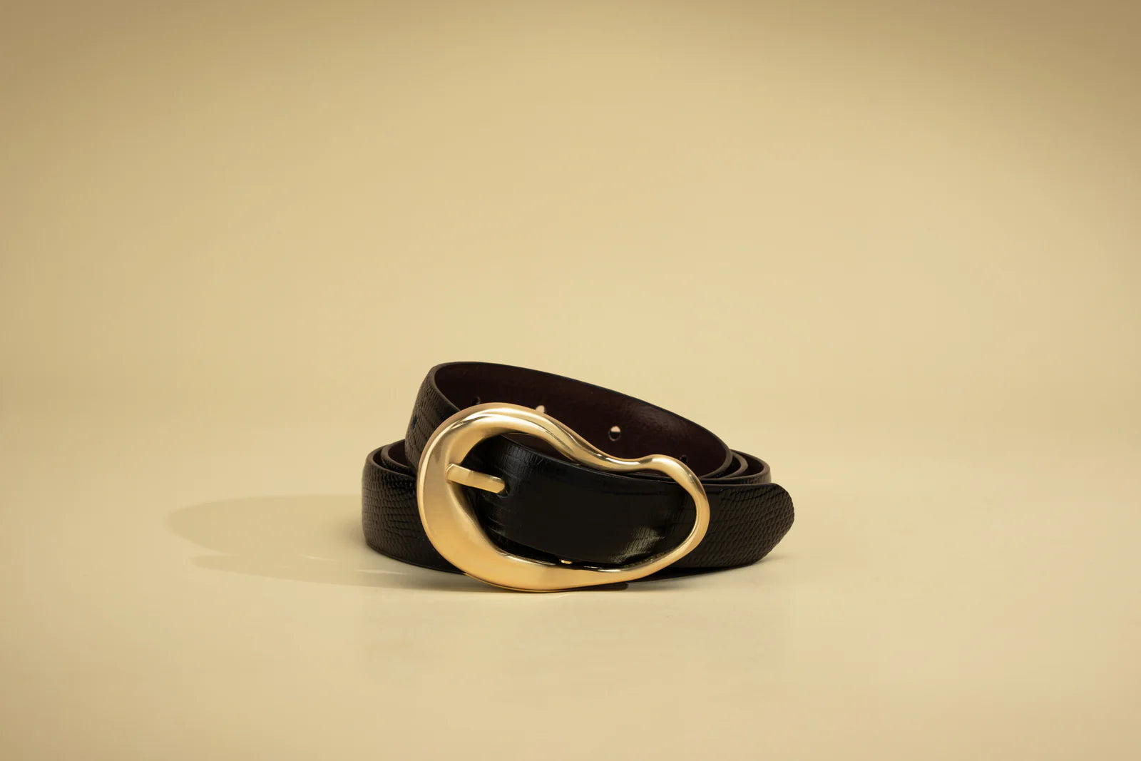 The formosa belt, black lizard
