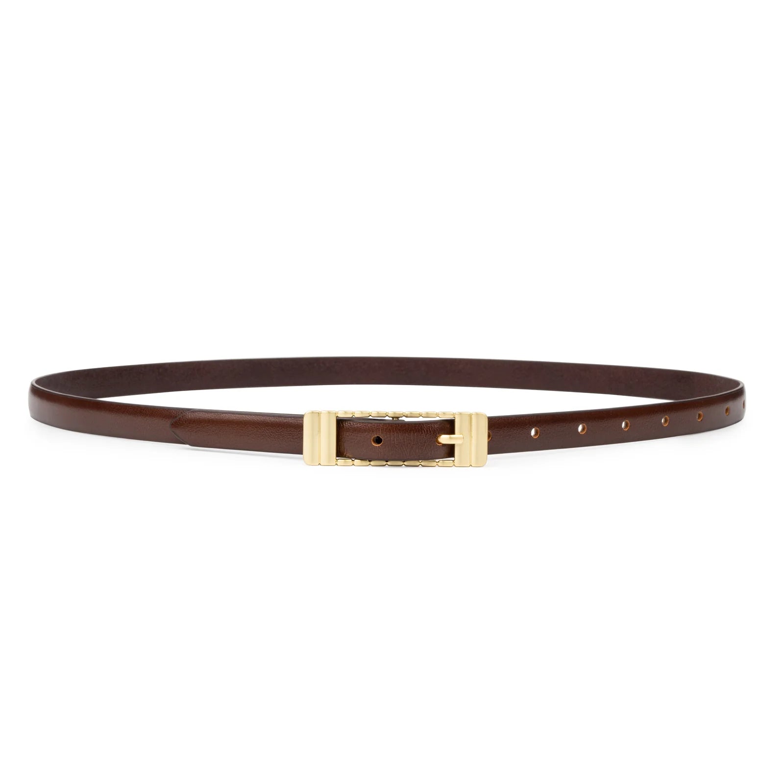 The Marzi belt, cocoa