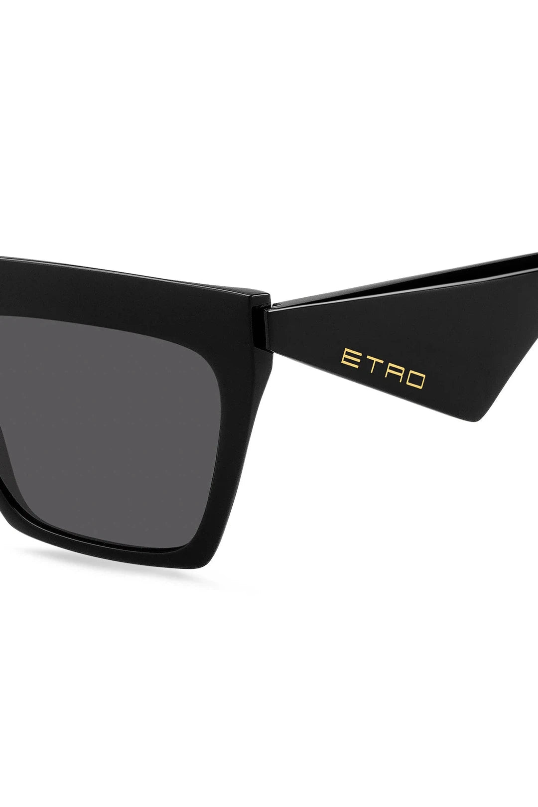 Etro 0001/s 807R, black