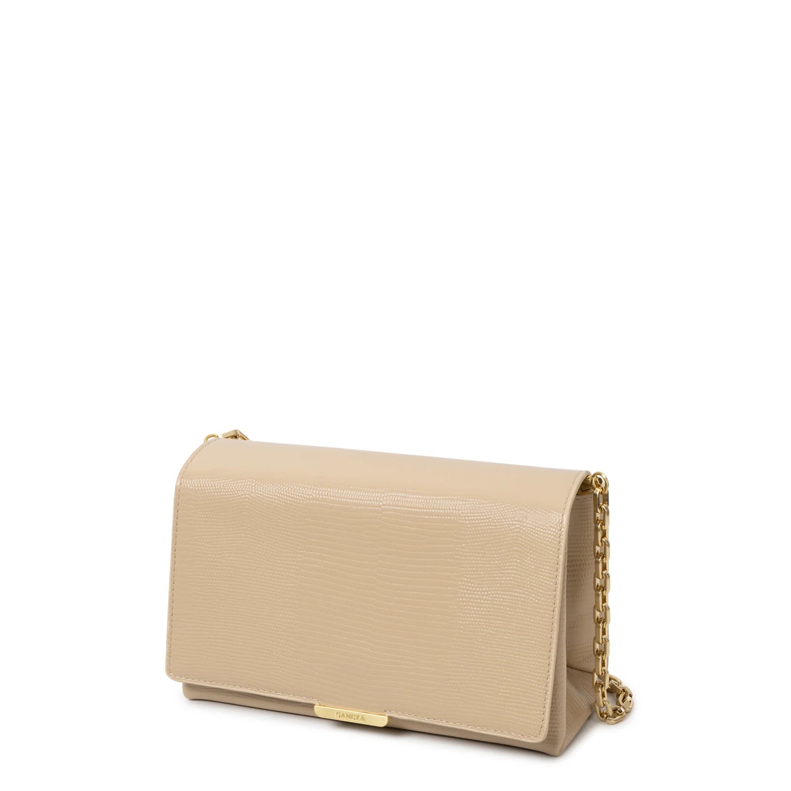 The Sirolo, almond lizard