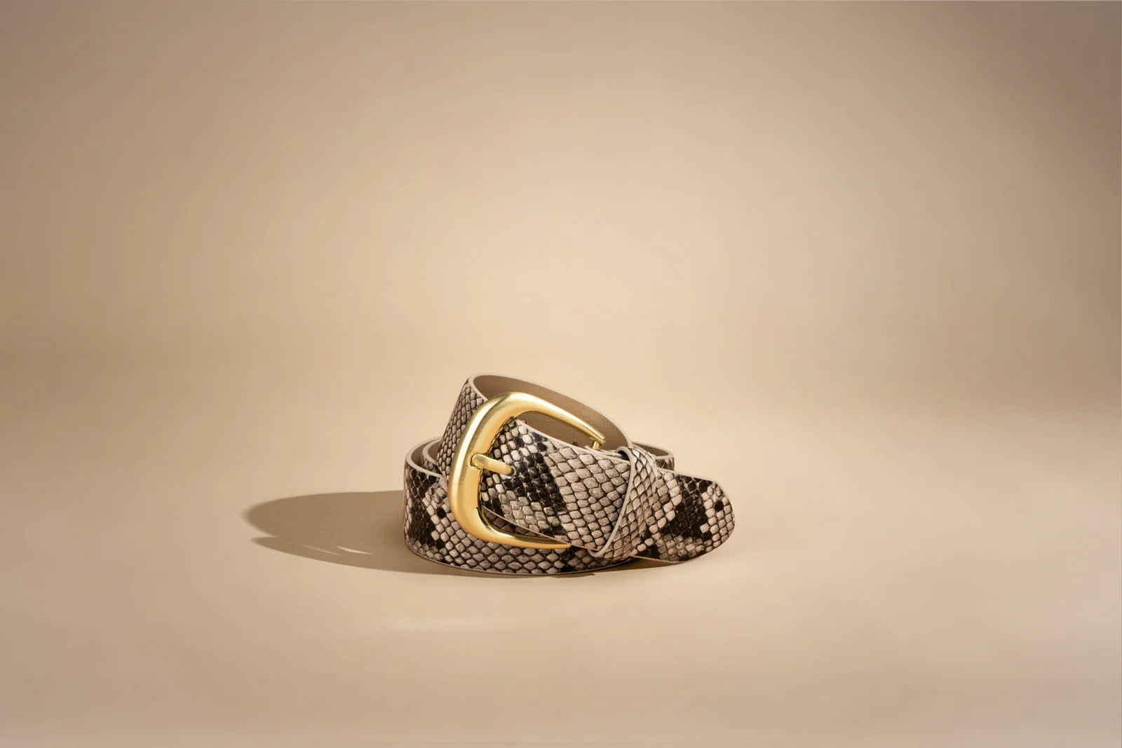 The antica belt, python