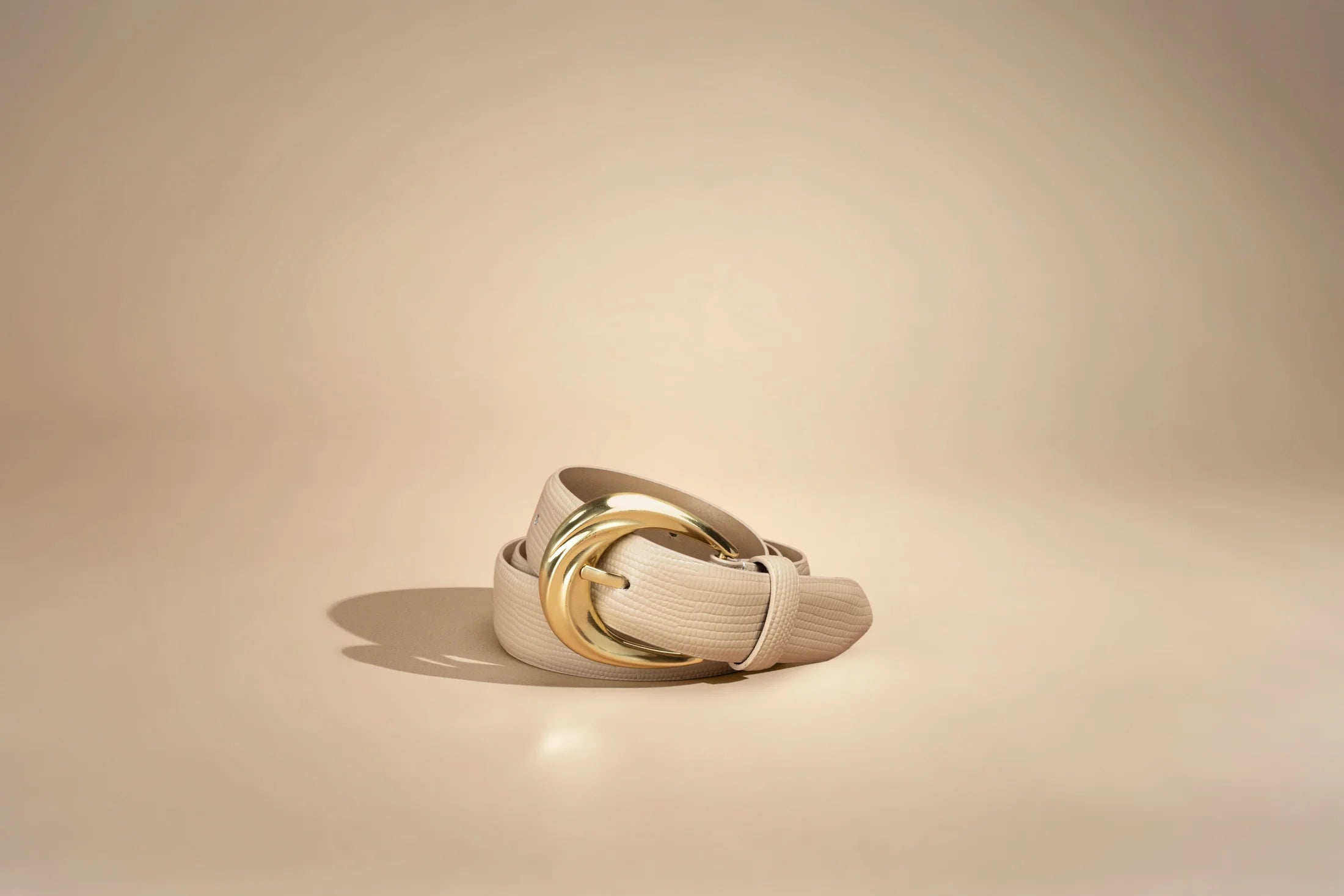 The antica belt, almond lizard