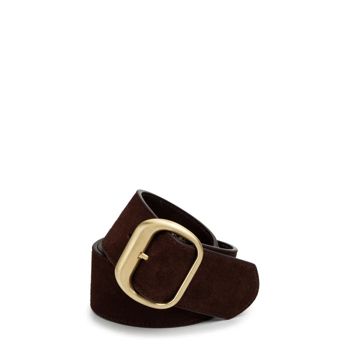The salerno belt, espresso suede