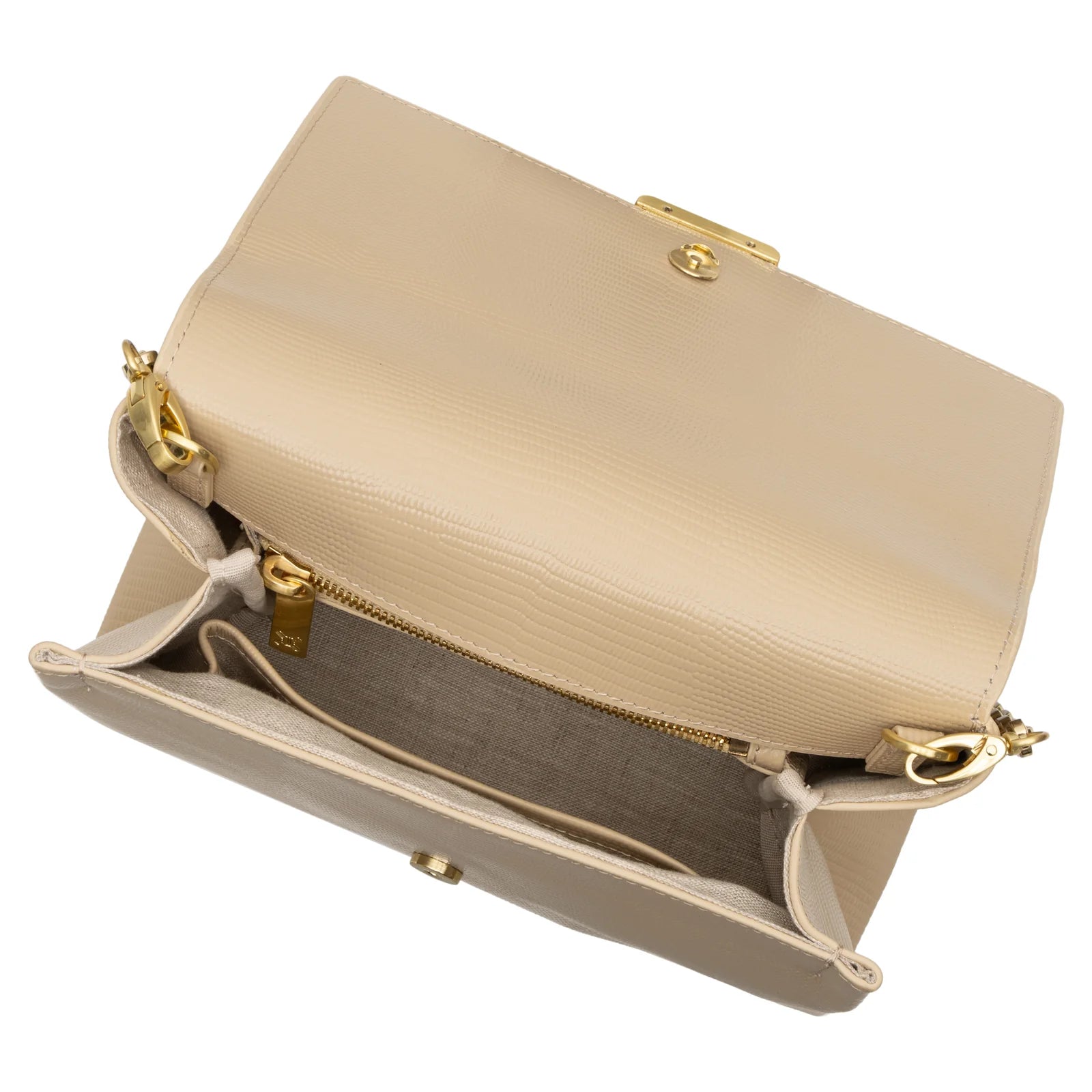 The Sirolo, almond lizard