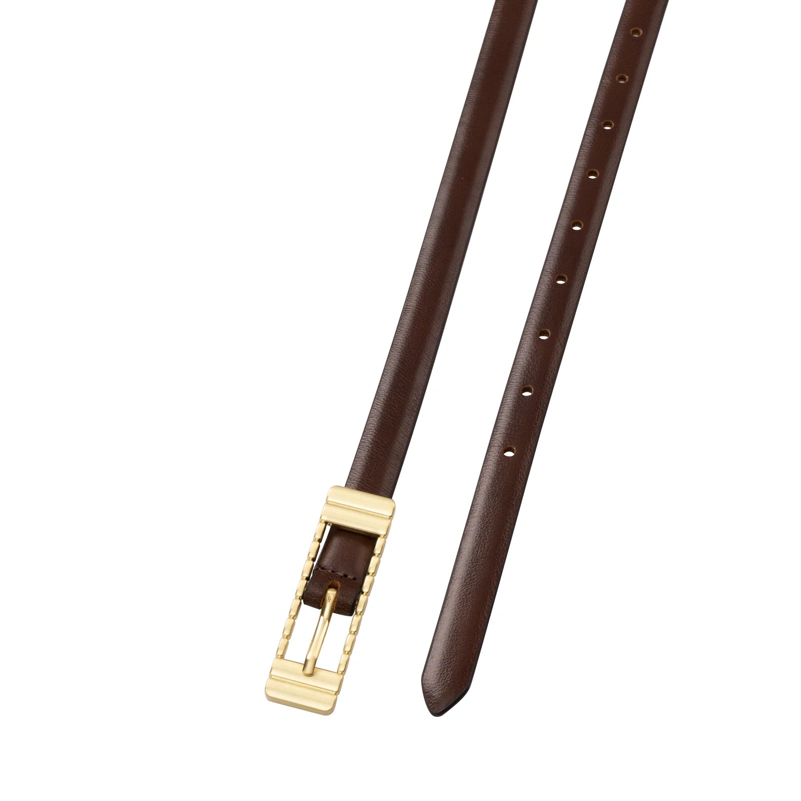 The Marzi belt, cocoa
