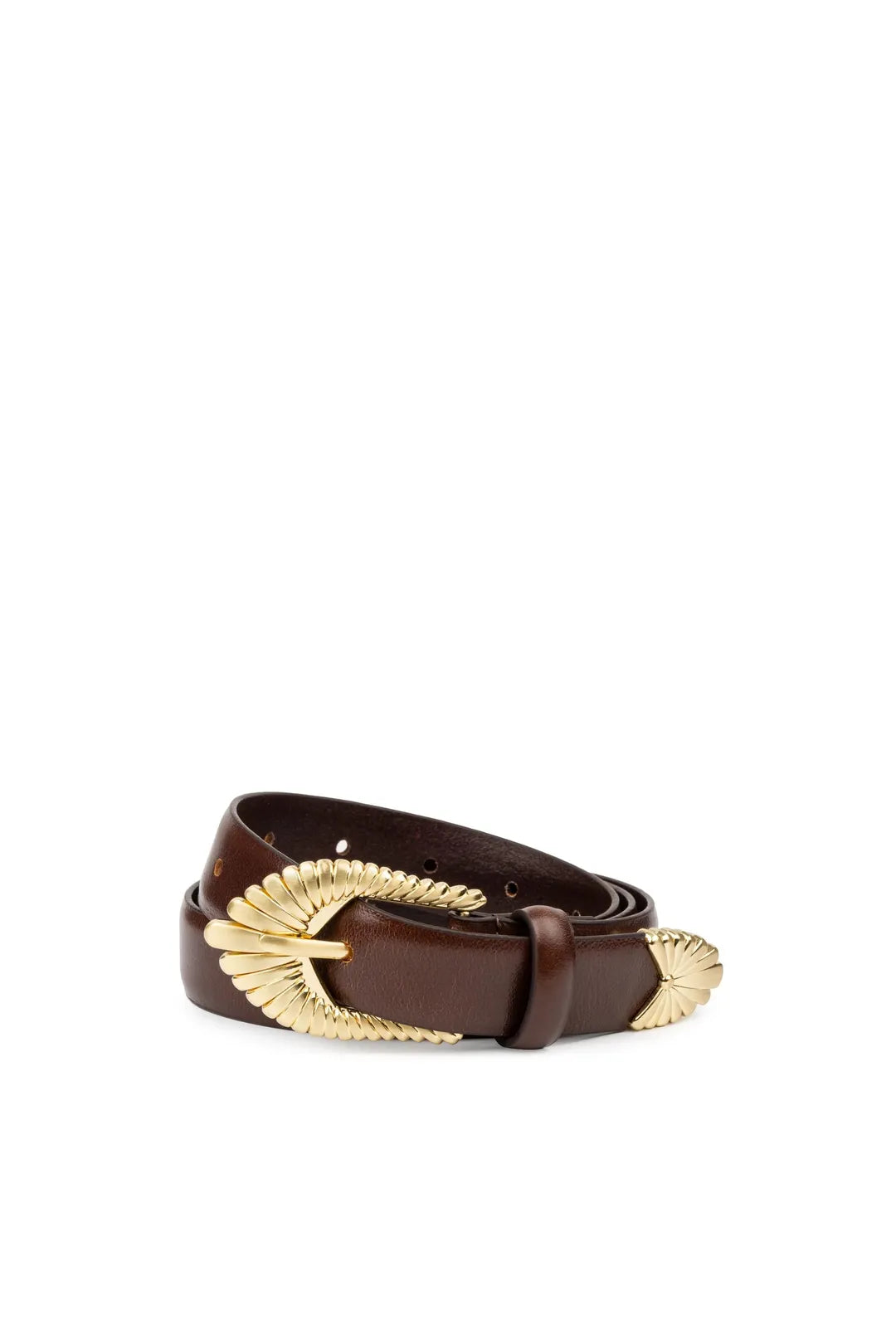 The zolna belt, cocoa