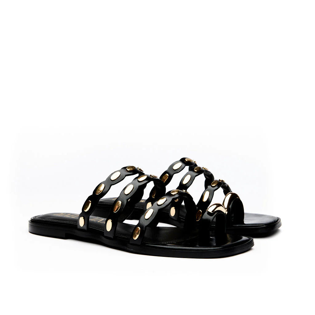 Enlightened, black