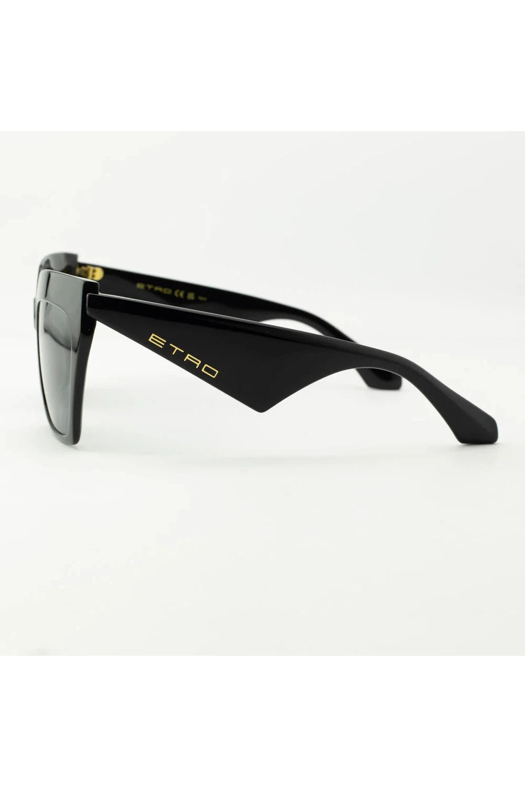 Etro 0001/s 807R, black