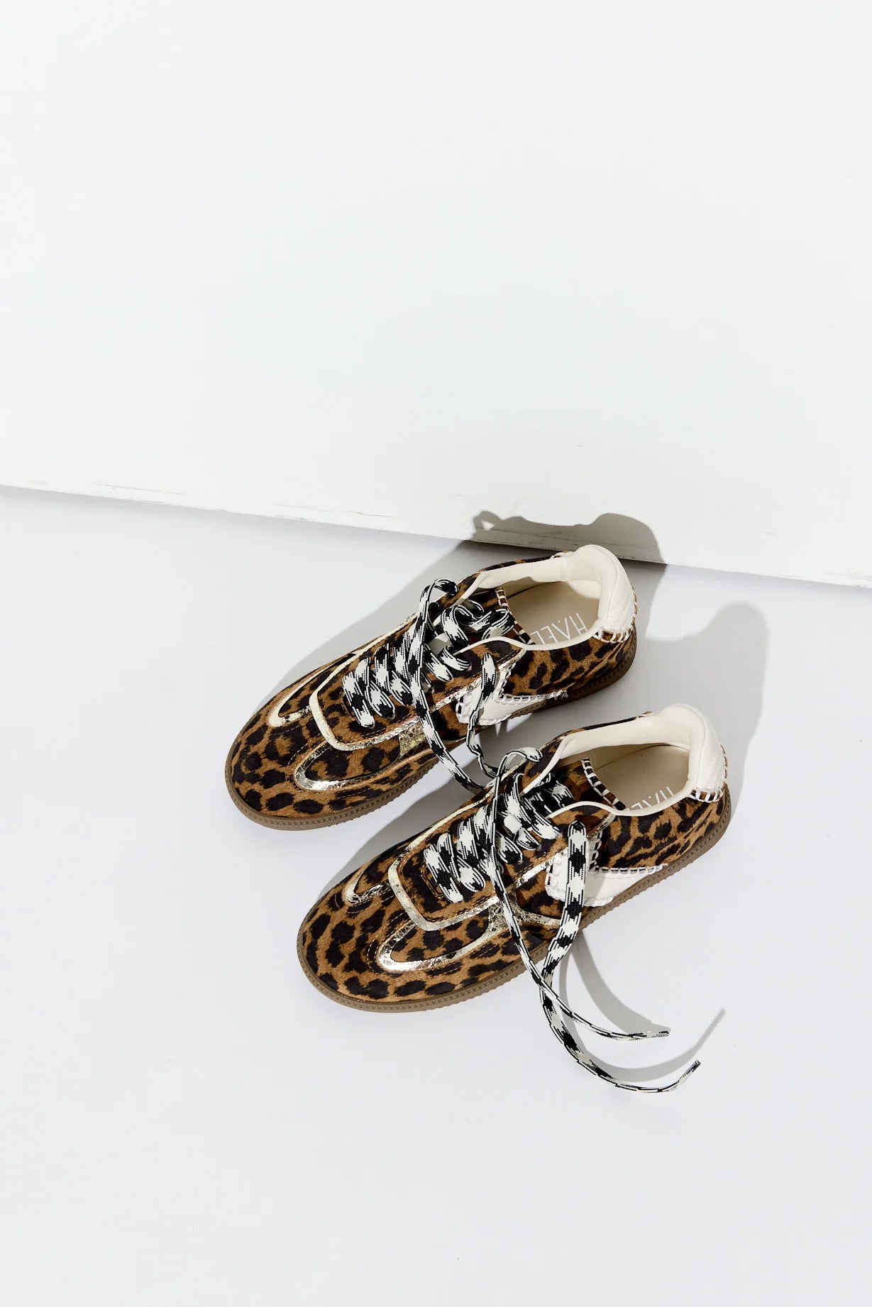 Generous, leopard