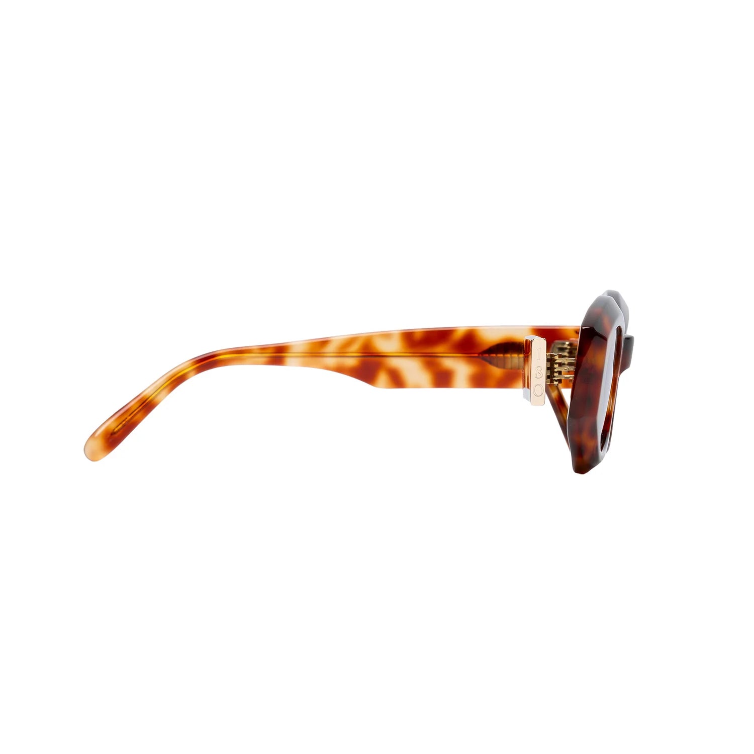 Rufus ft burnt havana w/ black lens