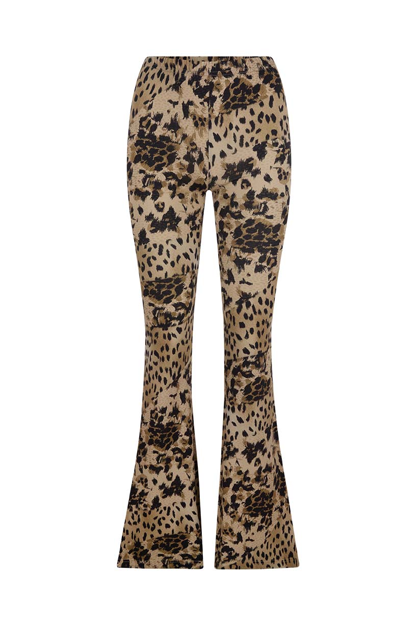 Snow leopard bells, animal