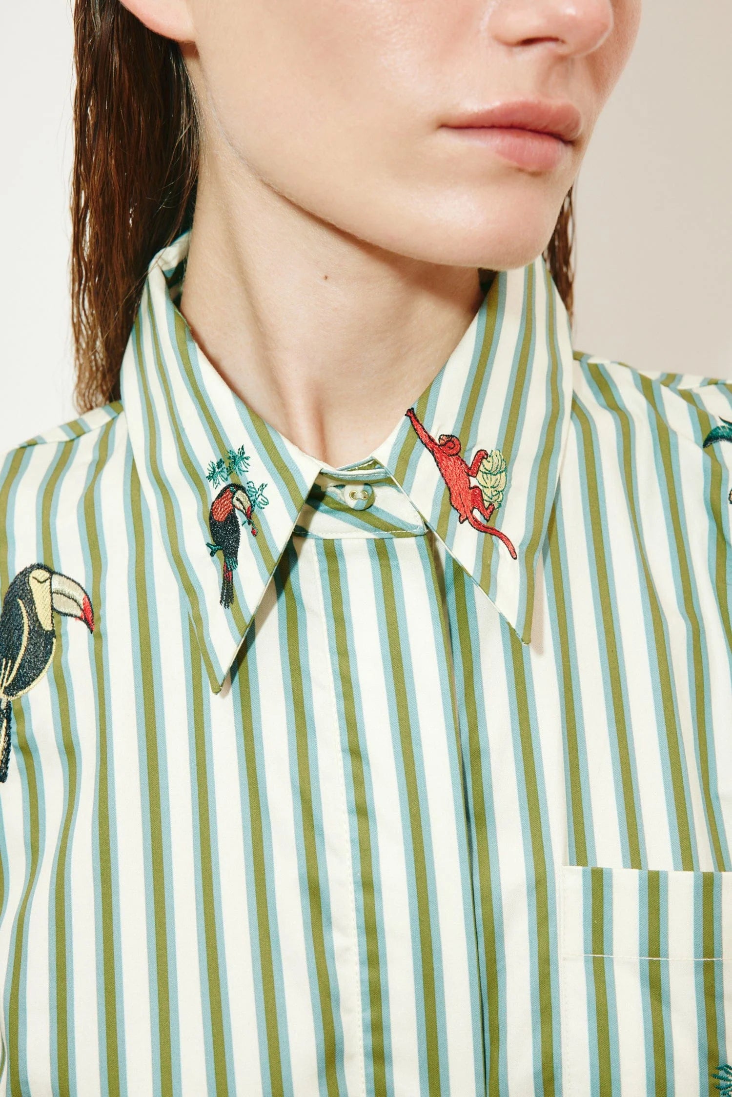 Bisou embroidered shirtdress