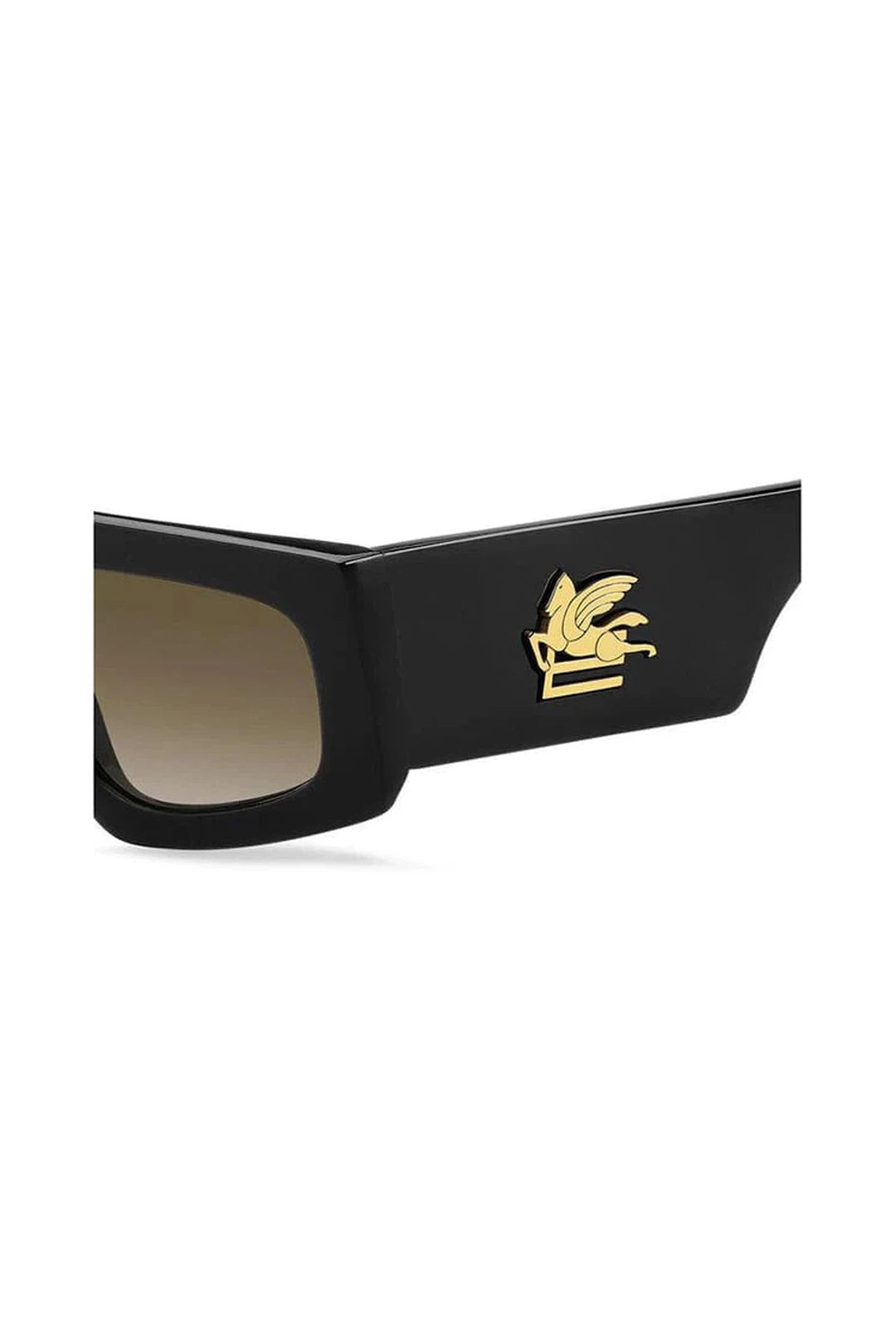 Etroscreen rectangle-frame sunglasses