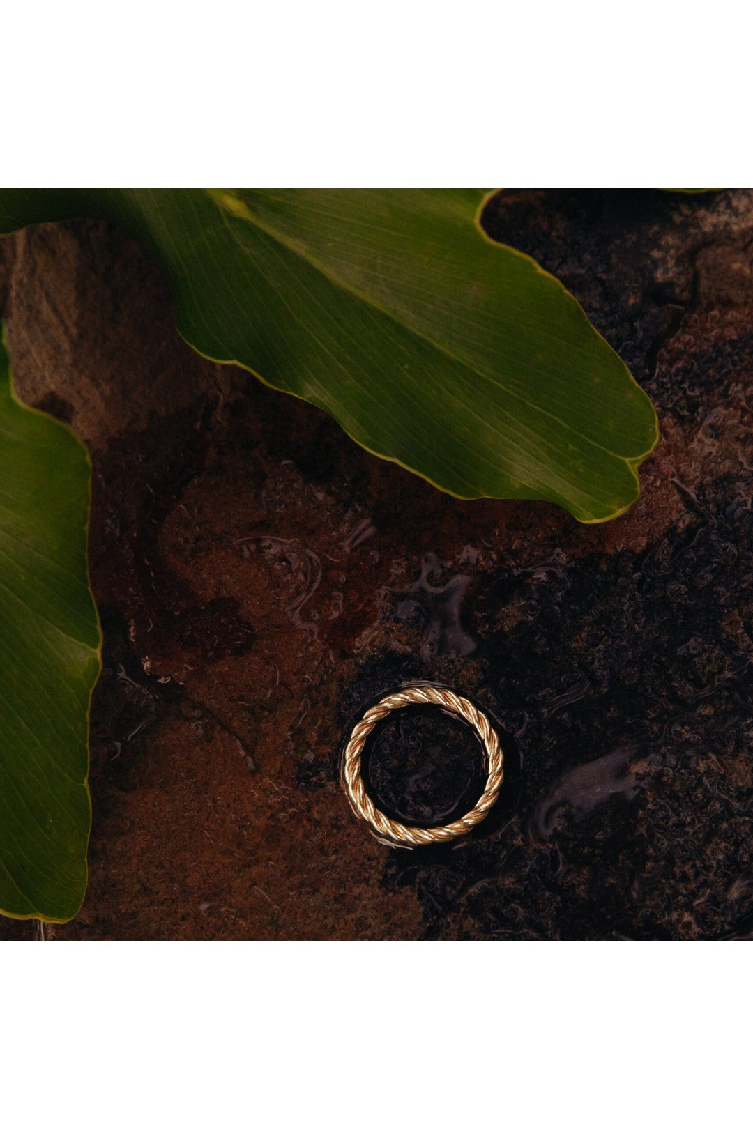Thick twisted ring, gold